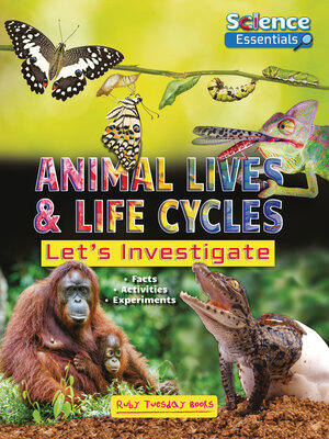 cover image of Animal Lives and Life Cycles